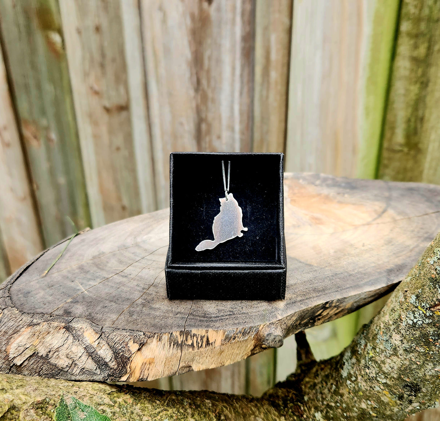 Fluffy Domestic Cat Necklace