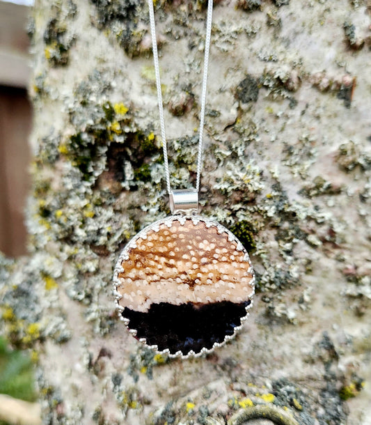 Fossilized Palm Root Buck/Deer Pendant